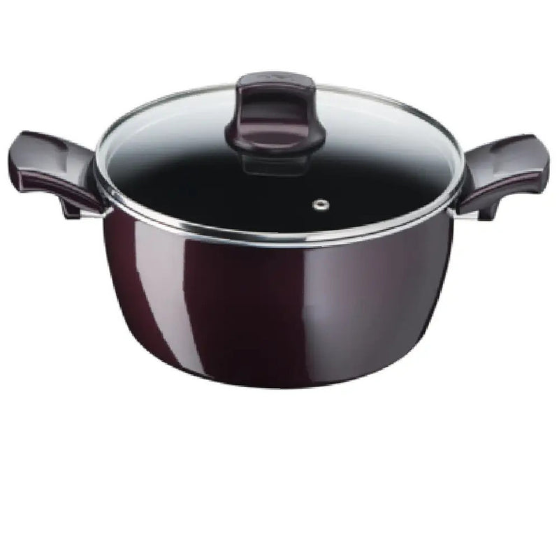 Tefal Resist Intense - Stewpot 30cm + Glass Lid