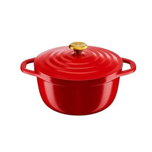 Tefal Air Cast Aluminium Stewpot 24+lid